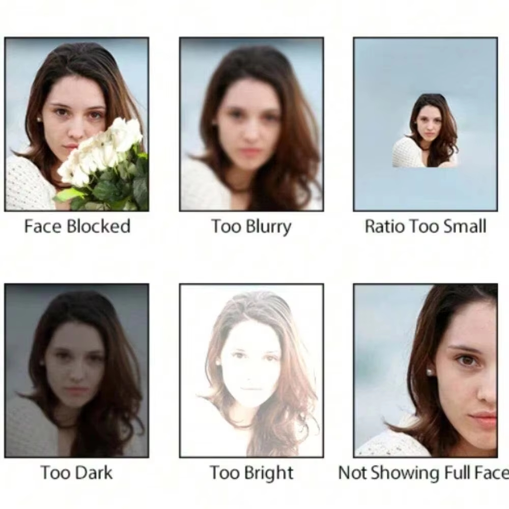 หมอนอิงกำมะหยี่แบบสั่งทำใหม่ปี - Home Textiles Photos บทวิจารณ์และราคา